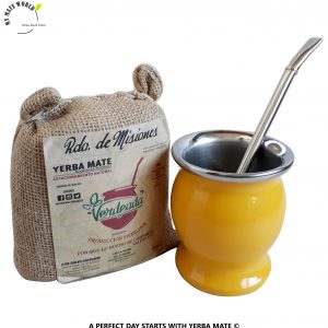 Stainless-Steel-Yerba-Mate-Cup-Bombilla-Yellow