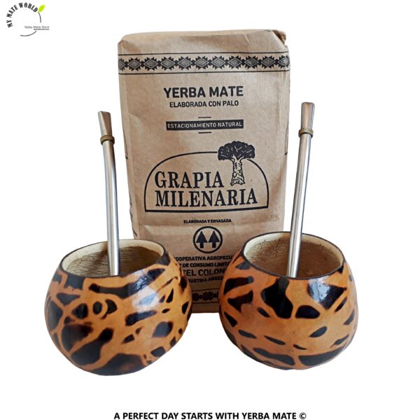 Abstract-Spotted-Mate-Gourd-Yerba-Bombilla-Kit