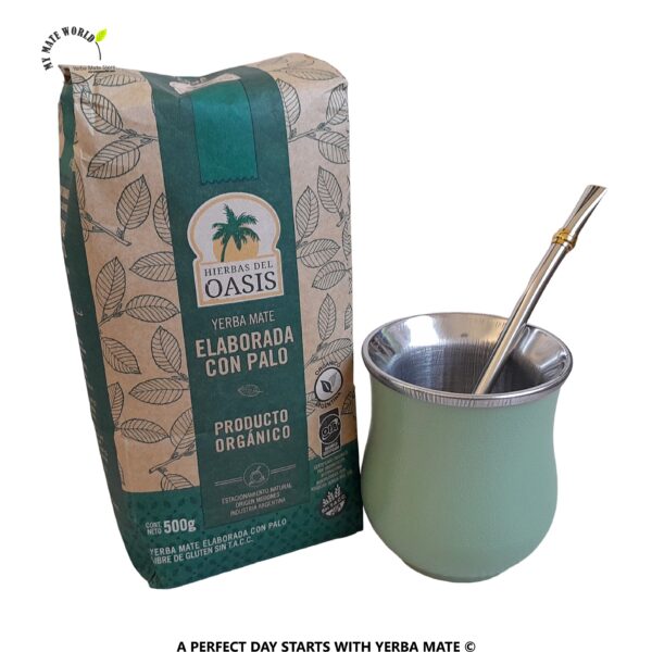 Green-Stainless-Steel-Yerba-Mate-Cup-Bombilla