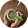 Yerba Mate Online Store Logo - My Mate World